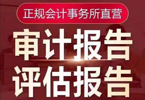 审计报告资产评估2.jpg