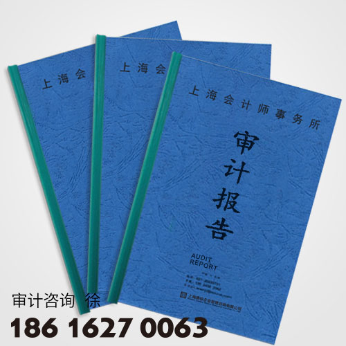 审计报告.jpg