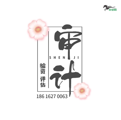 审计报告 (9).jpg