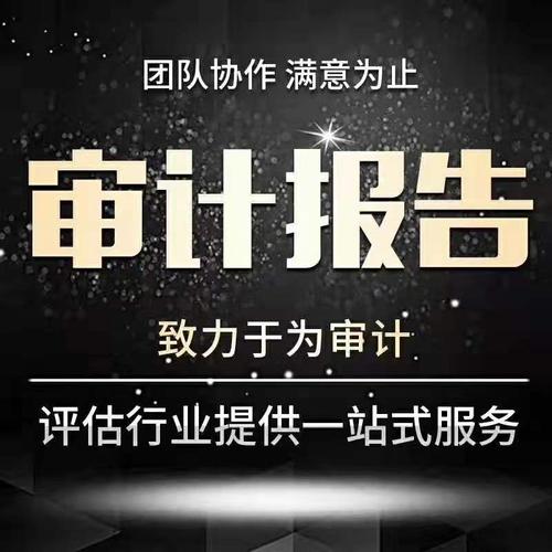 上海会计师事务所提供审计报告等服务项目